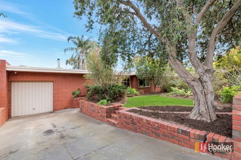 Property photo of 24 Waitara Road Banksia Park SA 5091