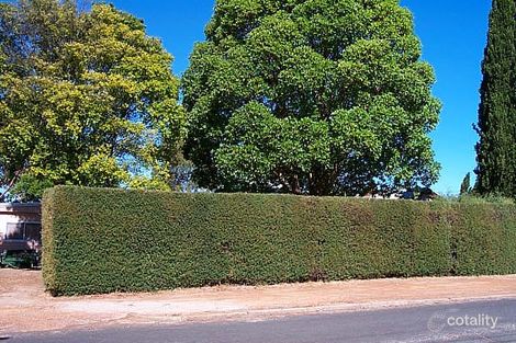 66 Muir St, Manjimup, WA 6258