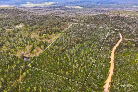 Property photo of 323 Endrick River Road Nerriga NSW 2622