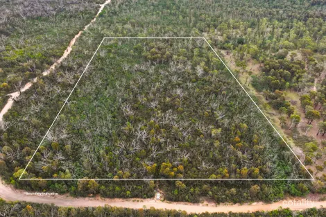 Property photo of 323 Endrick River Road Nerriga NSW 2622