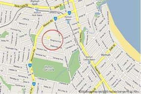 Property photo of 55 Boxgrove Avenue Wynnum QLD 4178