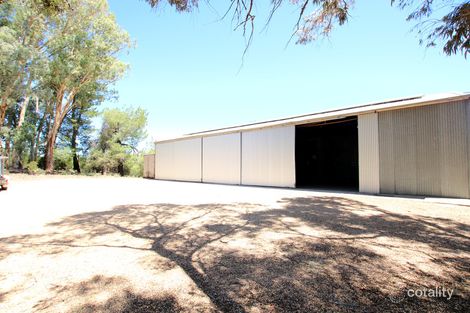 Property photo of 159 Qualco Road Qualco SA 5322