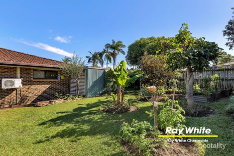Property photo of 8 Caladium Street Strathpine QLD 4500