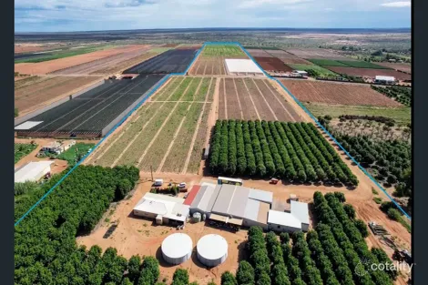 137 North River Rd, North Plantations, WA 6701