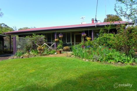 Property photo of 20 Bridge Street Sisters Beach TAS 7321