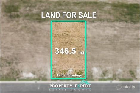 4 Conkerberry St, Melonba, NSW 2765