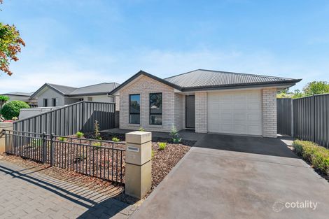 Property photo of 41 Cork Avenue Andrews Farm SA 5114