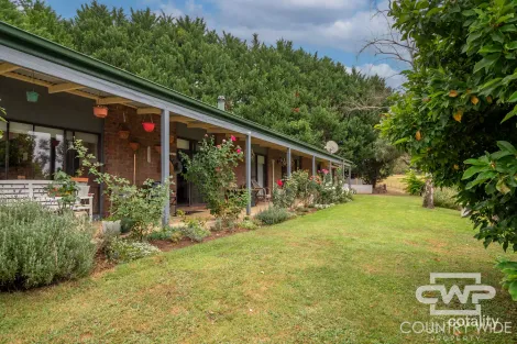 5 Chandler Lane, Glencoe, NSW 2365
