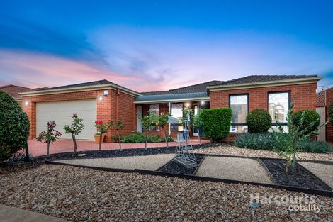 Property photo of 16 Sheoke Grove Cairnlea VIC 3023
