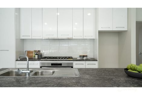 Property photo of 13 Denham Avenue Morphettville SA 5043