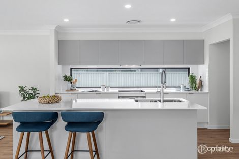 Property photo of 223 Shaw Road Wavell Heights QLD 4012