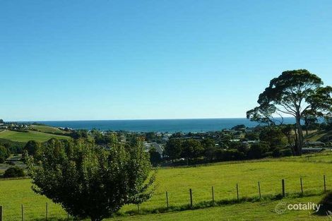 Property photo of 110 Ironcliffe Road Penguin TAS 7316