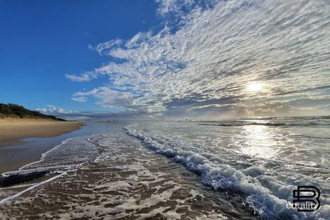 Property photo of 182 Edwards Street Sunshine Beach QLD 4567