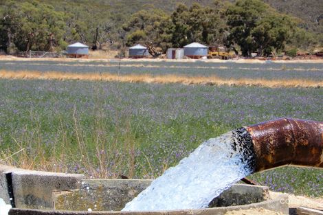 129 Mount Monster Rd, Keith, SA 5267