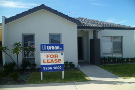 37 Vermont Gr, Wellard, WA 6170