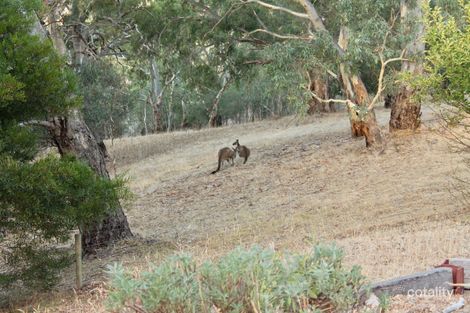 Property photo of 8 Jacaranda Place Aberfoyle Park SA 5159