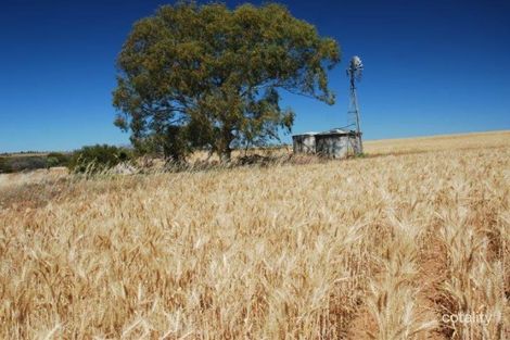 1463 Arrinooka Rd, Tardun, WA 6628