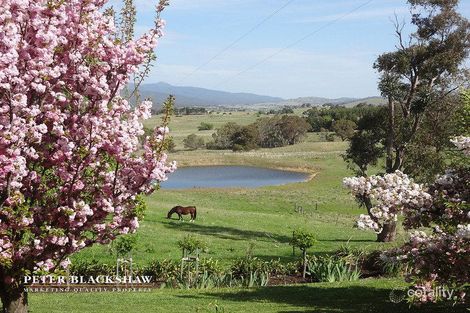 Property photo of 146 Moore Road Burra NSW 2620