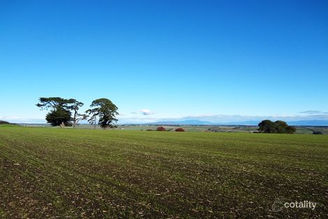 Property photo of 195 White Hills Road White Hills TAS 7258
