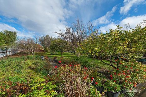 Property photo of 33 Snell Grove Pascoe Vale VIC 3044