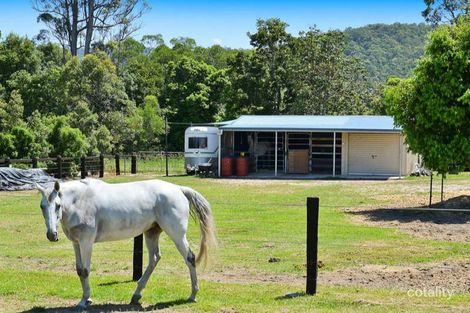 Property photo of 19 Samuel Drive Tallebudgera QLD 4228