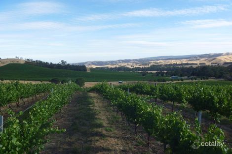 1018 Murrindindi Rd, Murrindindi, VIC 3717