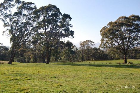 444 Rifle Butts Rd, Mansfield, VIC 3722