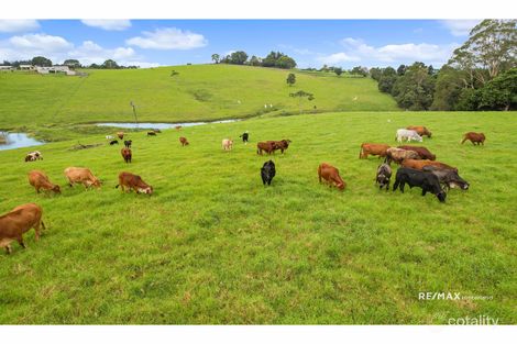 Property photo of 97 McCarthy Road Maleny QLD 4552