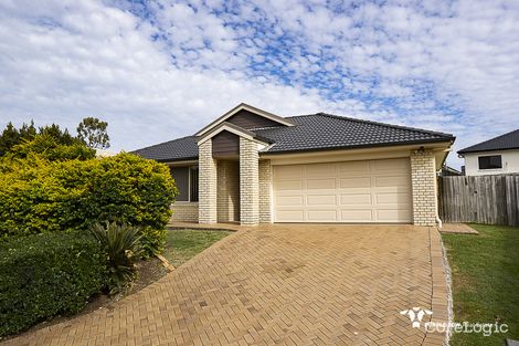 Property photo of 25 Orchard Crescent Springfield Lakes QLD 4300