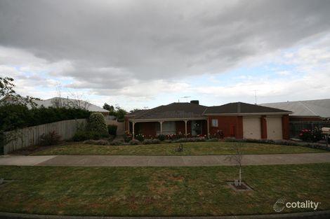 51 Mulquiney Cres, Highton, VIC 3216