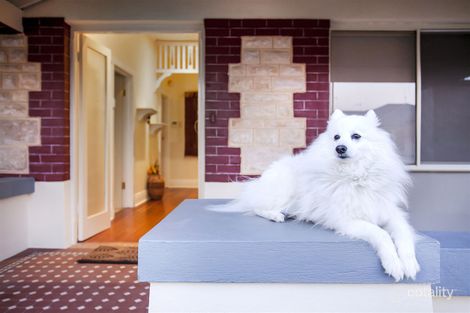 Property photo of 22 Olveston Avenue Beverley SA 5009