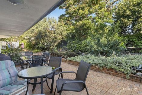 Property photo of 20 Farnwyn Court Buderim QLD 4556