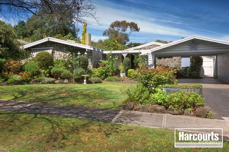 10 Graneel Gr, Berwick, VIC 3806