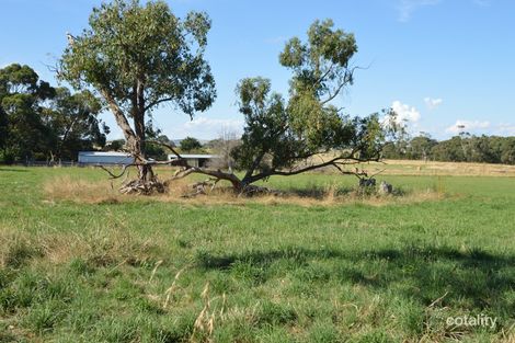 10 Daniels Rd, Wattle Bank, VIC 3995