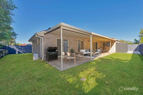 Property photo of 50 Glentree Avenue Upper Coomera QLD 4209