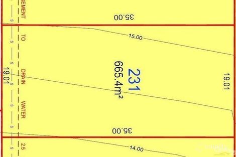 Property photo of 38 Dragonfly Drive Chisholm NSW 2322