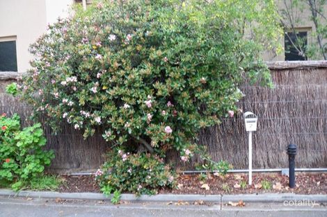 2/86a Northgate St, Unley Park, SA 5061