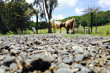 Property photo of 2940 Springbrook Road Springbrook QLD 4213