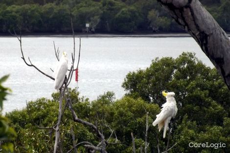 Property photo of 14 Aquamarine Avenue Russell Island QLD 4184