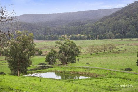 2060 Carlisle Rd, Carlisle River, VIC 3239