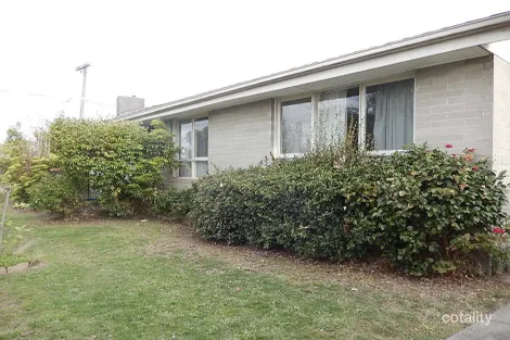 Property photo of 6 Monash Grove Blackburn South VIC 3130