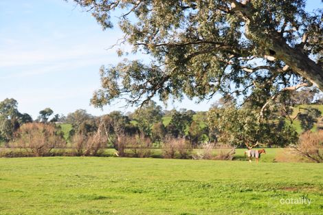 Property photo of 2 Ray Street Mansfield VIC 3722