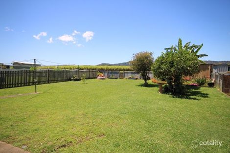 Property photo of 18 Colonial Drive Condong NSW 2484