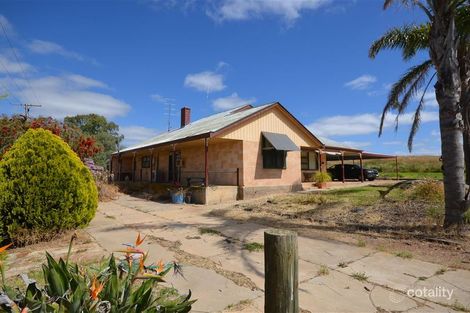 29 Bone Rd, Pinnaroo, SA 5304