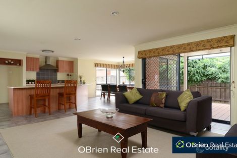 Property photo of 11 Eucumbene Drive Berwick VIC 3806