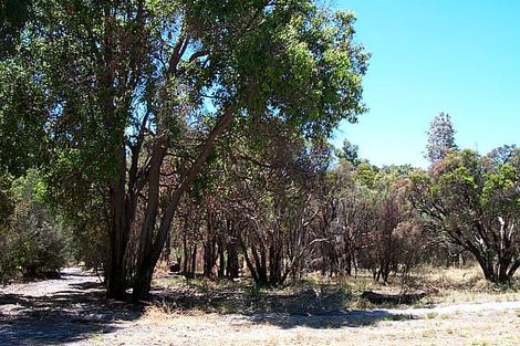 7 Zinnia Rd, Gelorup, WA 6230