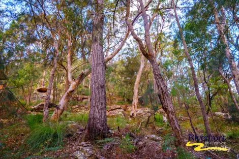 Property photo of 67 Glenworth Valley Road Wendoree Park NSW 2250