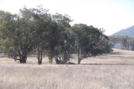 Property photo of 849 Nundle Road Piallamore NSW 2340