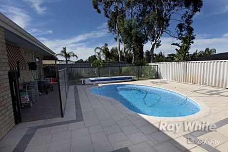 19 Rawlinna Hts, Ballajura, WA 6066