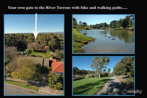 Property photo of 20 Samuel Street Fulham SA 5024